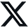X Icon